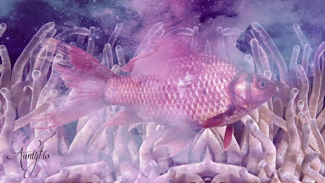 Goldfish/Koi