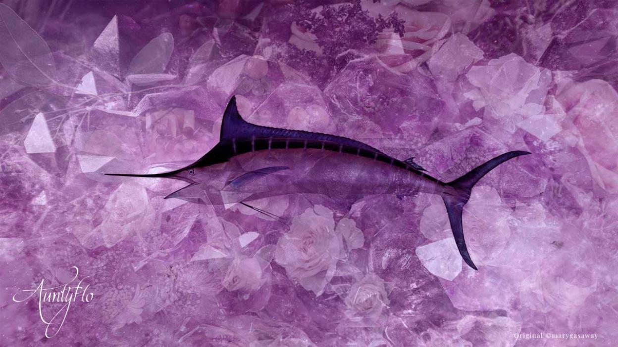 Marlin