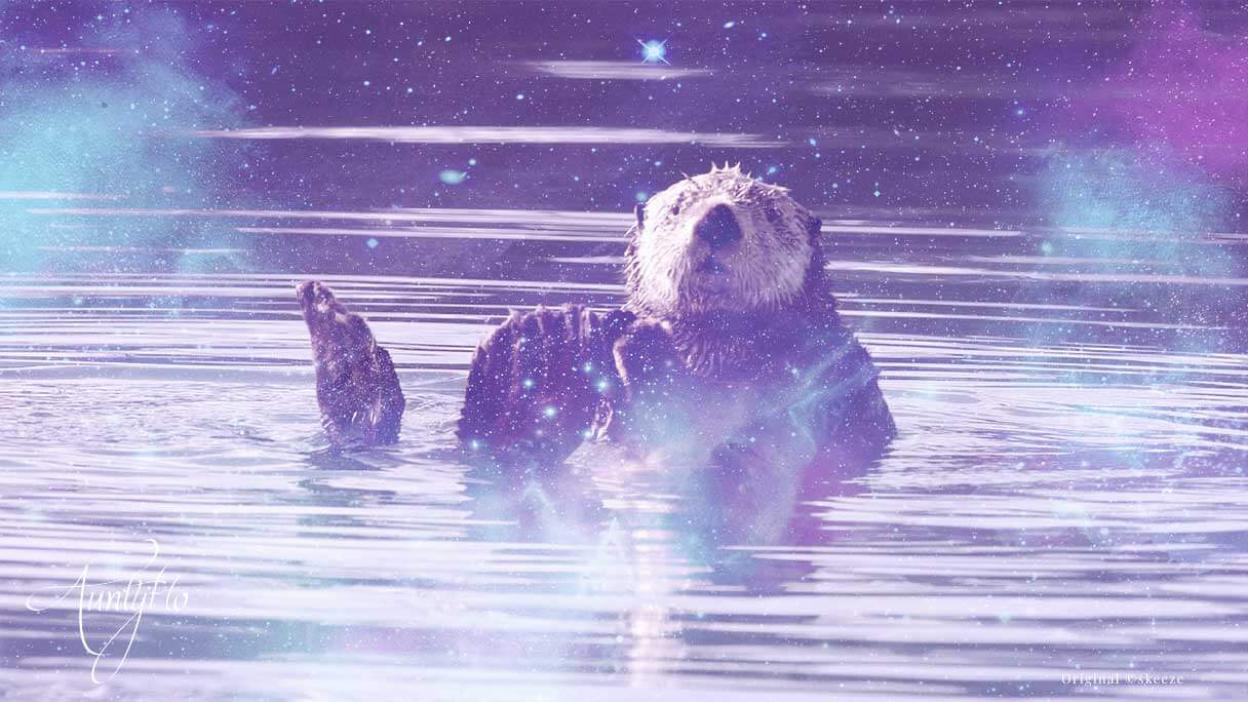 Otter: Awaken your magick powers | Auntyflo.com