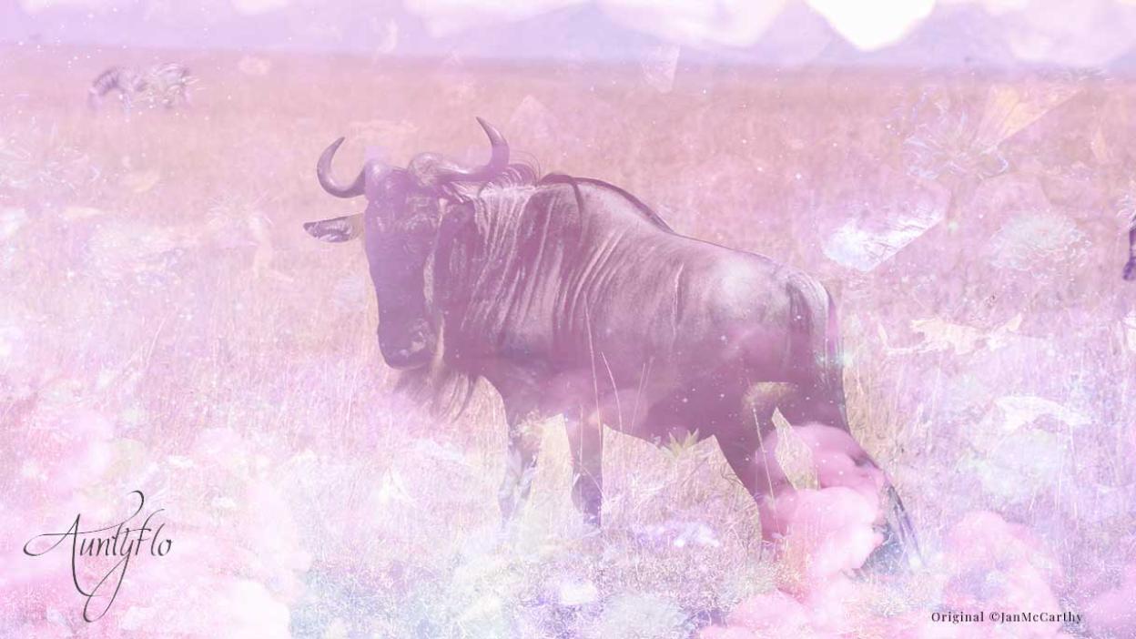 Wilder beast