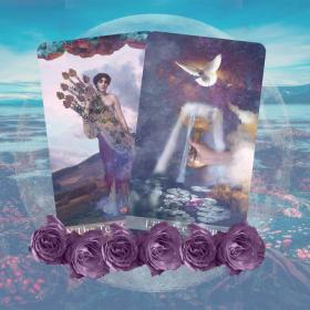 Two tarot cards floating in mid-air with roses underneath