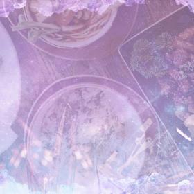 Food dream meanings