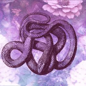 Freud and Jung's snake dream interpretation