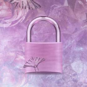 Locked School