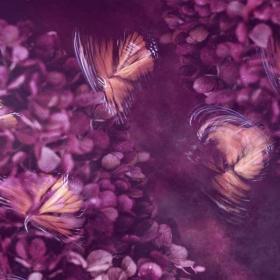 Dreams Of Purple Butterfly