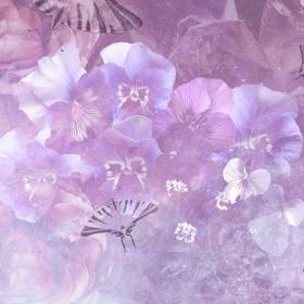 Pansies