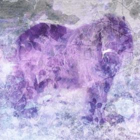 Pony
