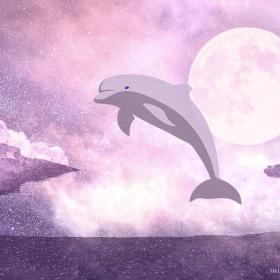 Porpoise