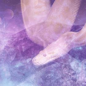 Python Snake