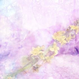 Agrimony