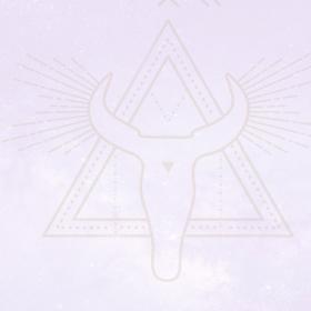 Totem Animal Meaning