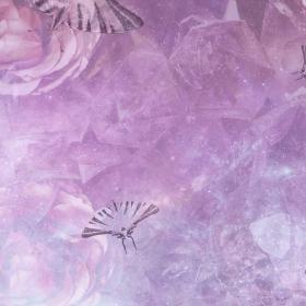 Butterfly superstition