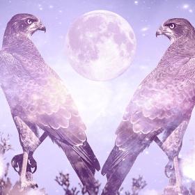 Falcon meaning