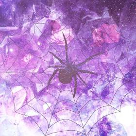 Spider Spiritual Meaning