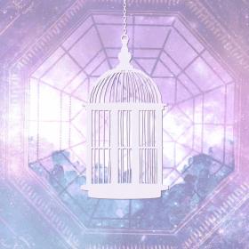 aviary bird