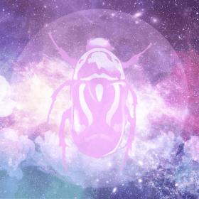 beetle tea leaf meaning