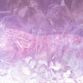 Mantis-Shrimp