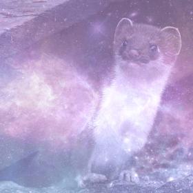 Weasel