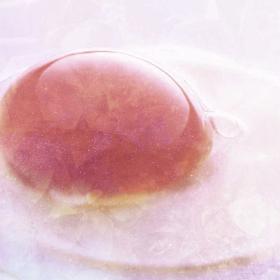 Egg