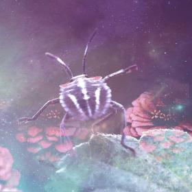 Stinkbug