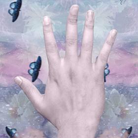 Hand Type palmistry