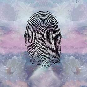 Loop on finger prints palmistry