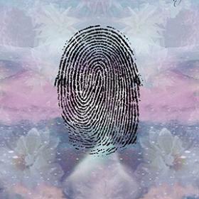 A whorl fingerprint meaning palmsitry
