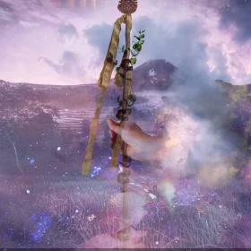Ace Of Wands Tarot Card