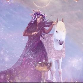 Knight Of Cups Tarot Card