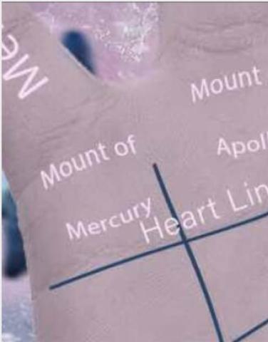 Palmistry Basic Guide heart line