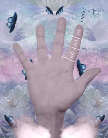 size of phalanges Jupiter finger meaning palm reading