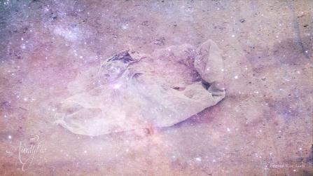 A Torn Bag in dreams