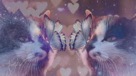 Multiple Cats In Dreams