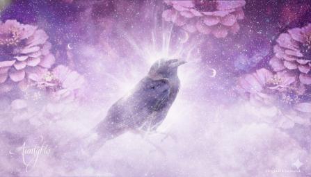 Dead Crow Spiritual Meaning