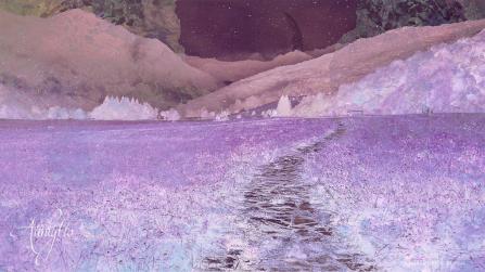 Dreaming of Fish Pregnancy Spiritual Meaning