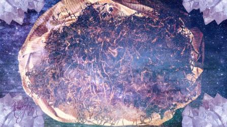 Bag filled with tobacco