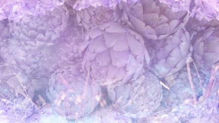 Artichoke in dreams