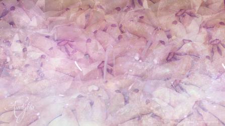 Dream dictionary meaning Banana