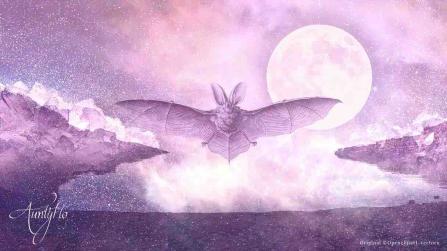 Bat Dream Meaning