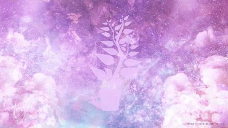 Dreaming and meanings Bay