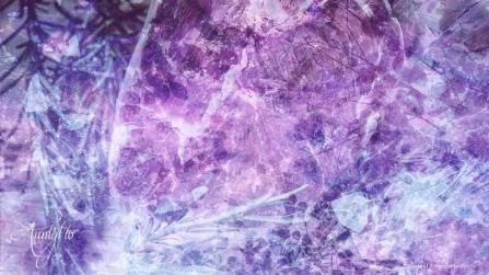 Dreaming and meanings Beef