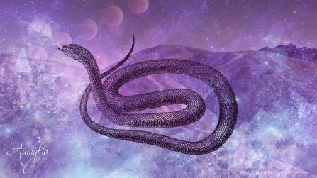 Black Snake Dream Meaning