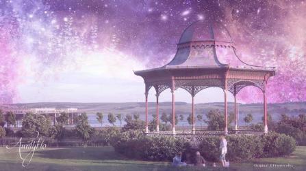  Canopy dream meanings 