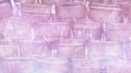 Carrying Too Many Bags