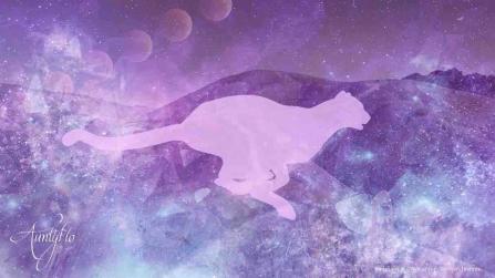 Chased with a knife dream