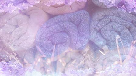 cotton dream meanings