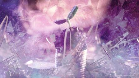 Dreaming and meanings Dividends