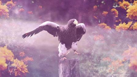 Eagle dream meanings