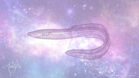 Eel Dream Meanings