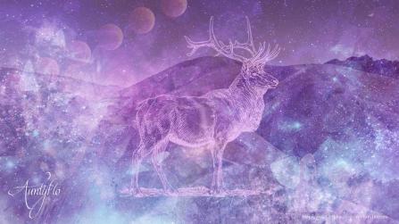 Elk dream meanings
